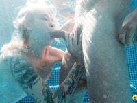 Tattooed Blonde Babe Arteya Gets Nicely Fucked Outdoors