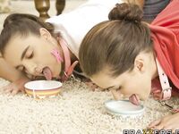 XXX Pet Dog Porn Pics