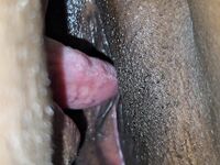 Pussy licking