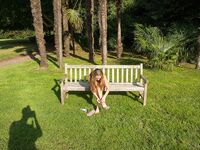 Klara Outdoor photos (Klara Lsgmodels)