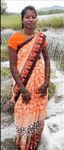 Tamil wife sexy body