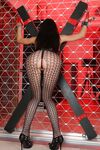 Rocco's Perfect Slaves #07 photos (Nataly Gold, Vanda Lust)