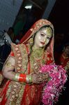 Hslut sanskari sherni