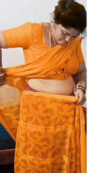Bhabhi saree strip