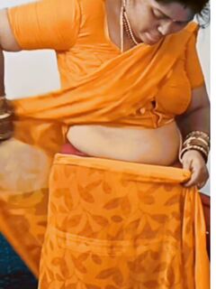 Bhabhi saree strip