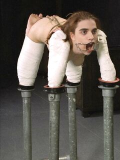 XXX Pet Dog Porn Pics