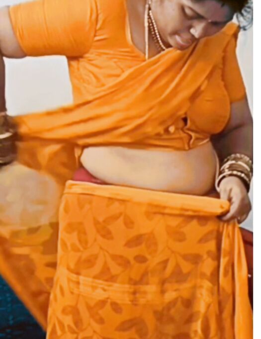 Bhabhi saree strip