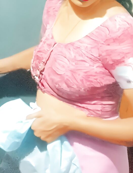 With out saree spy com